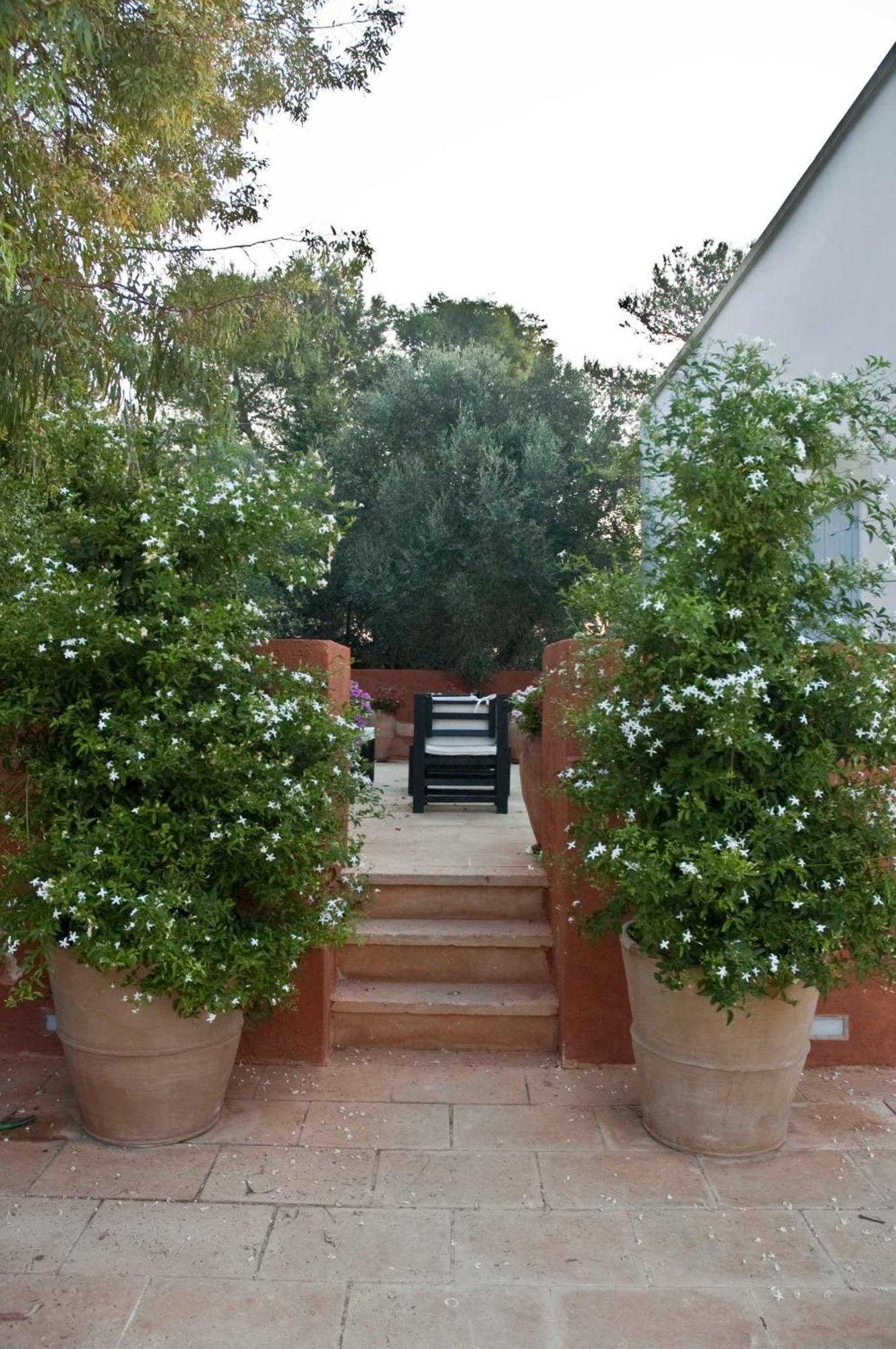 Masseria Montelauro Otranto Exterior foto